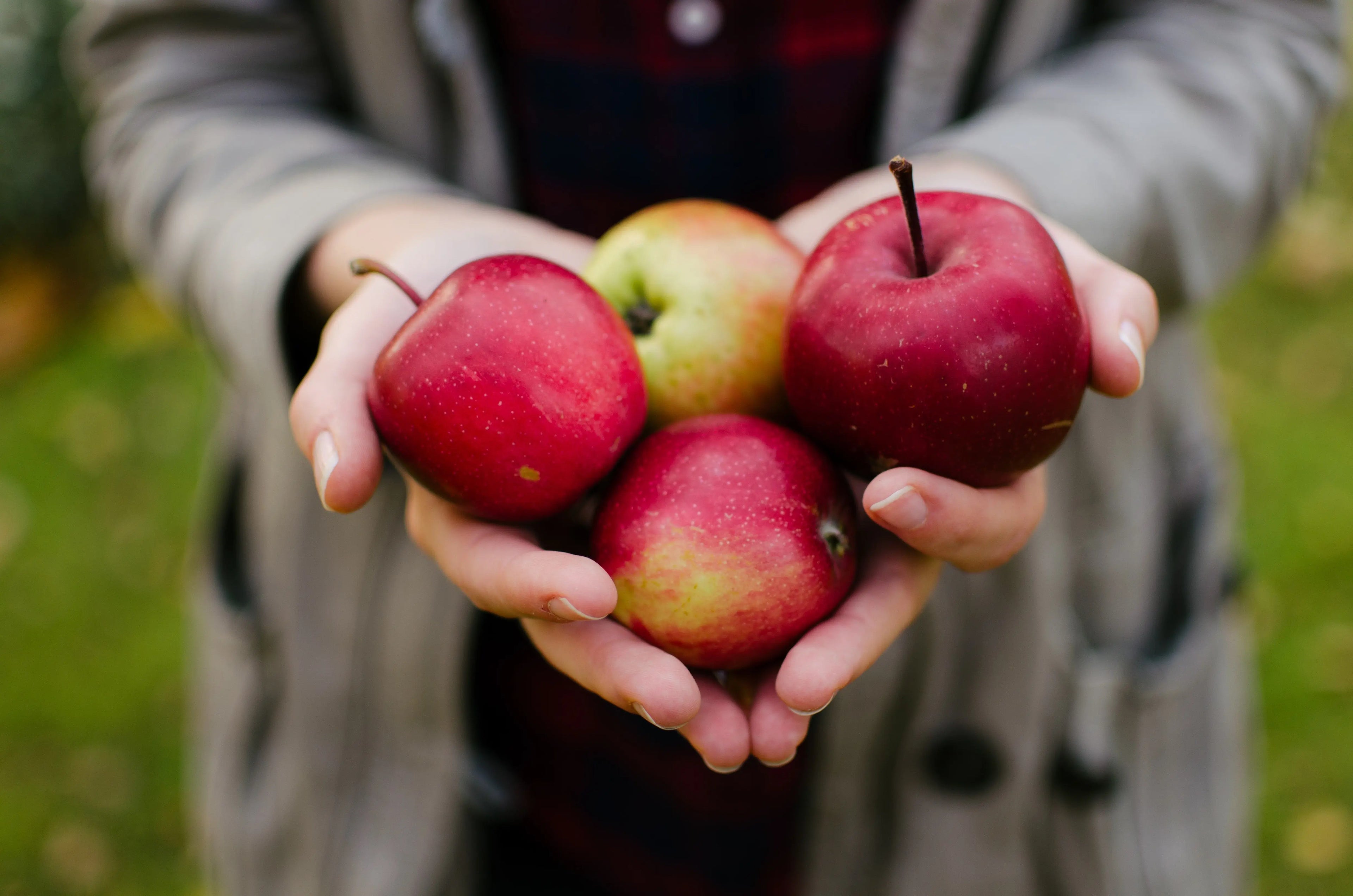Apple Harvest Fragrance Escential Group