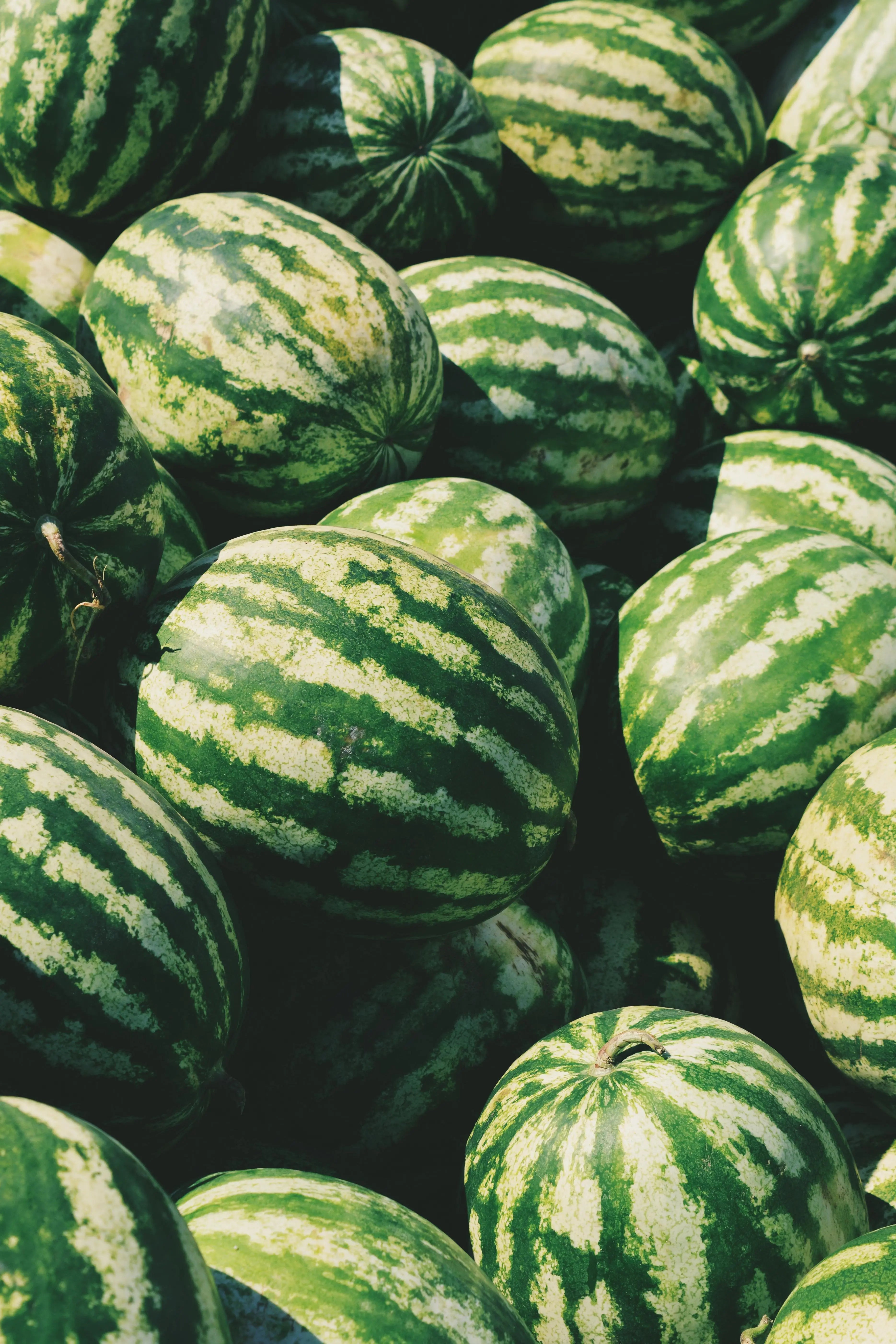 Natural Watermelon Flavor Escential Group