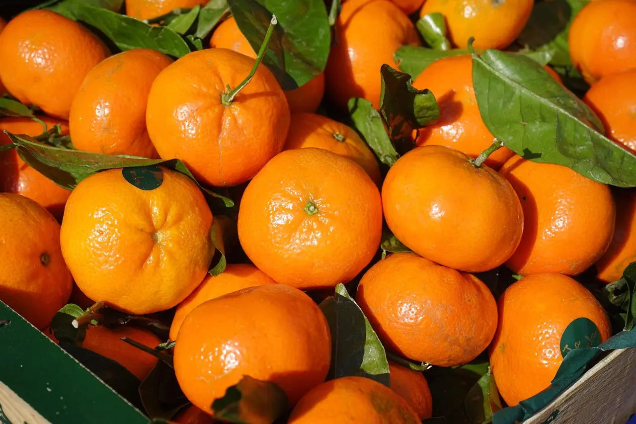 Tangerine Oil 5-Fold P&N Escential Group