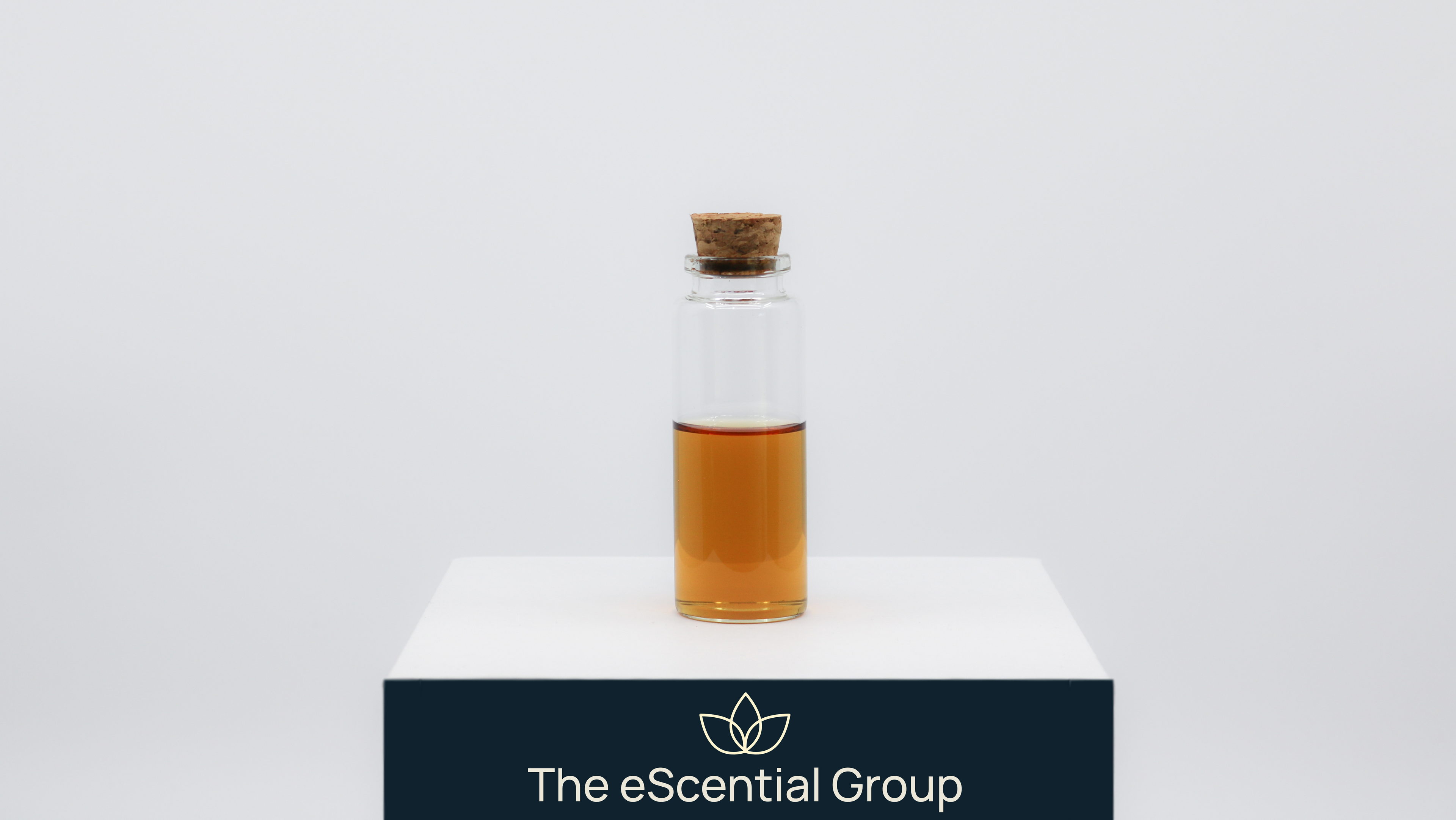 Spiced Cinnamon Vanilla Fragrance