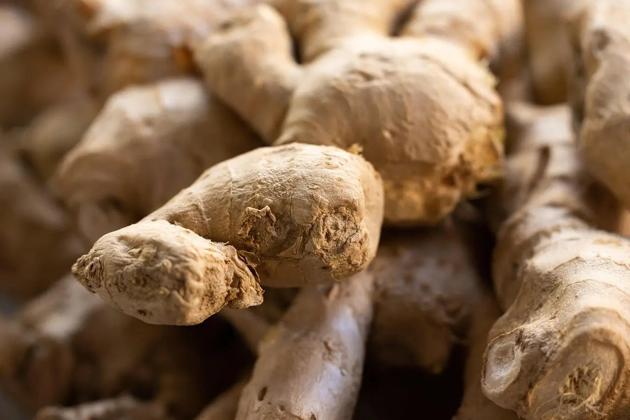 Ginger Root Oil P&N Escential Group