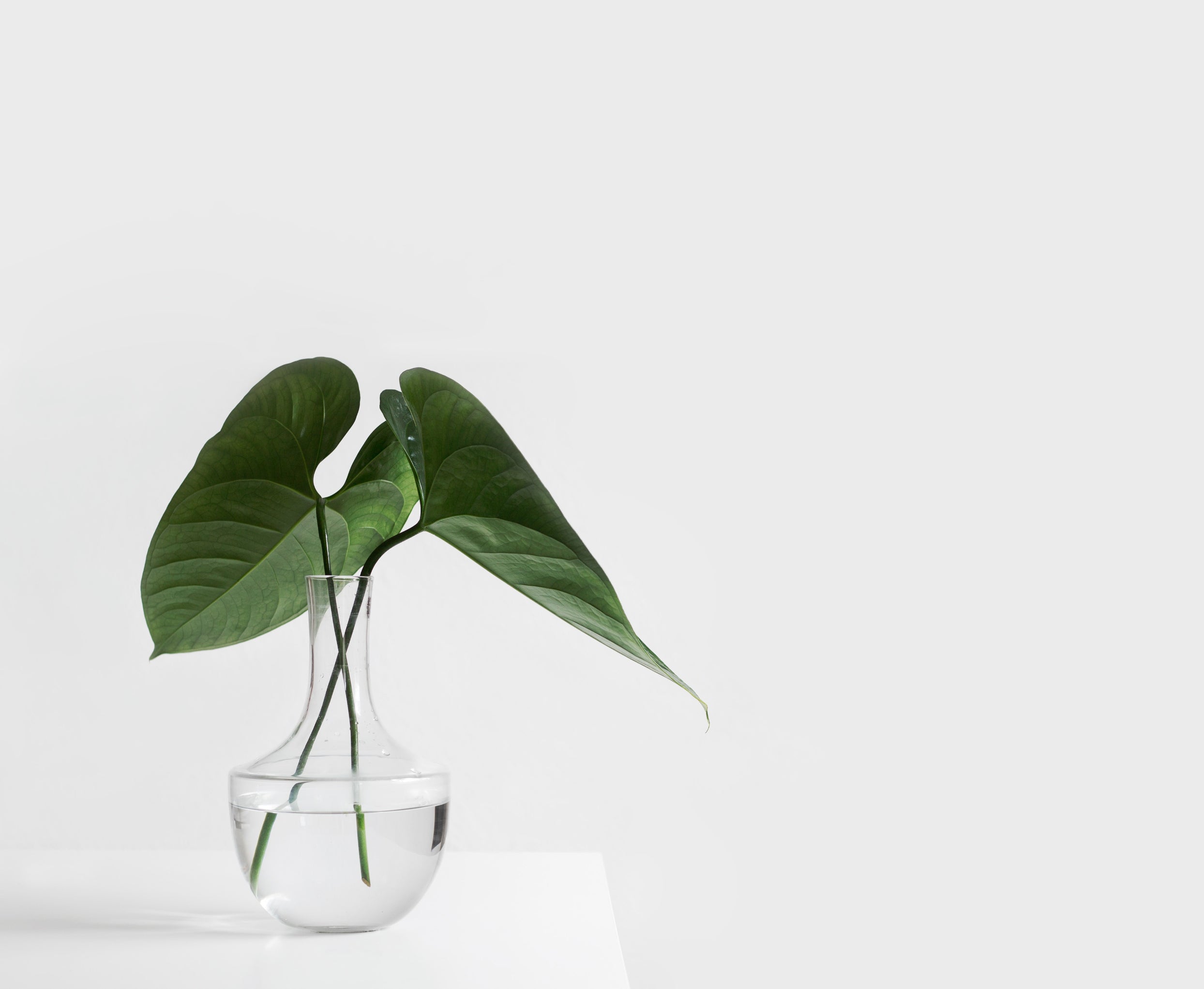 Original Fabulous Fragrance