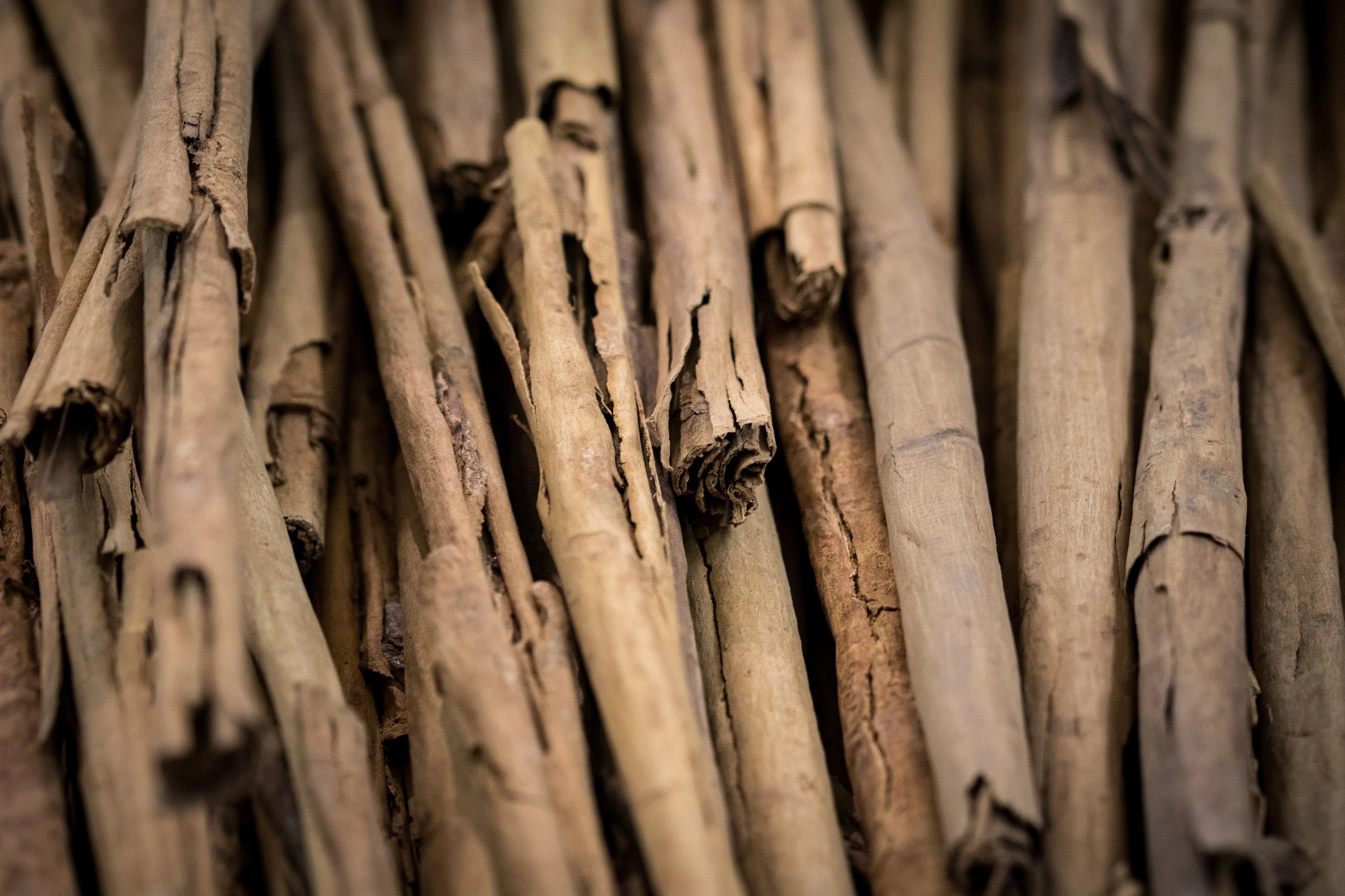 Cinnamon Bark Oil Natural Escential Group