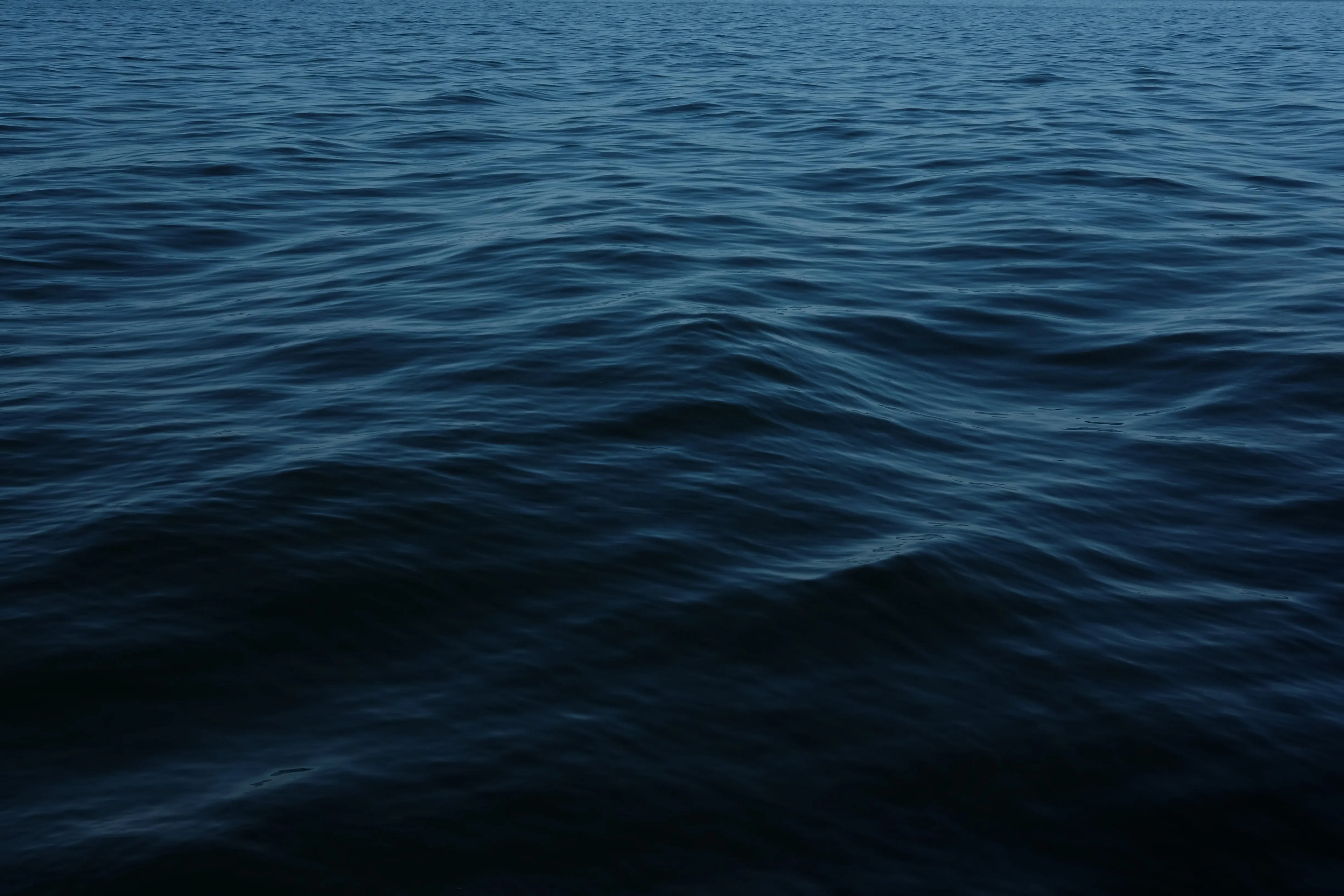 High Tide Fragrance Escential Group