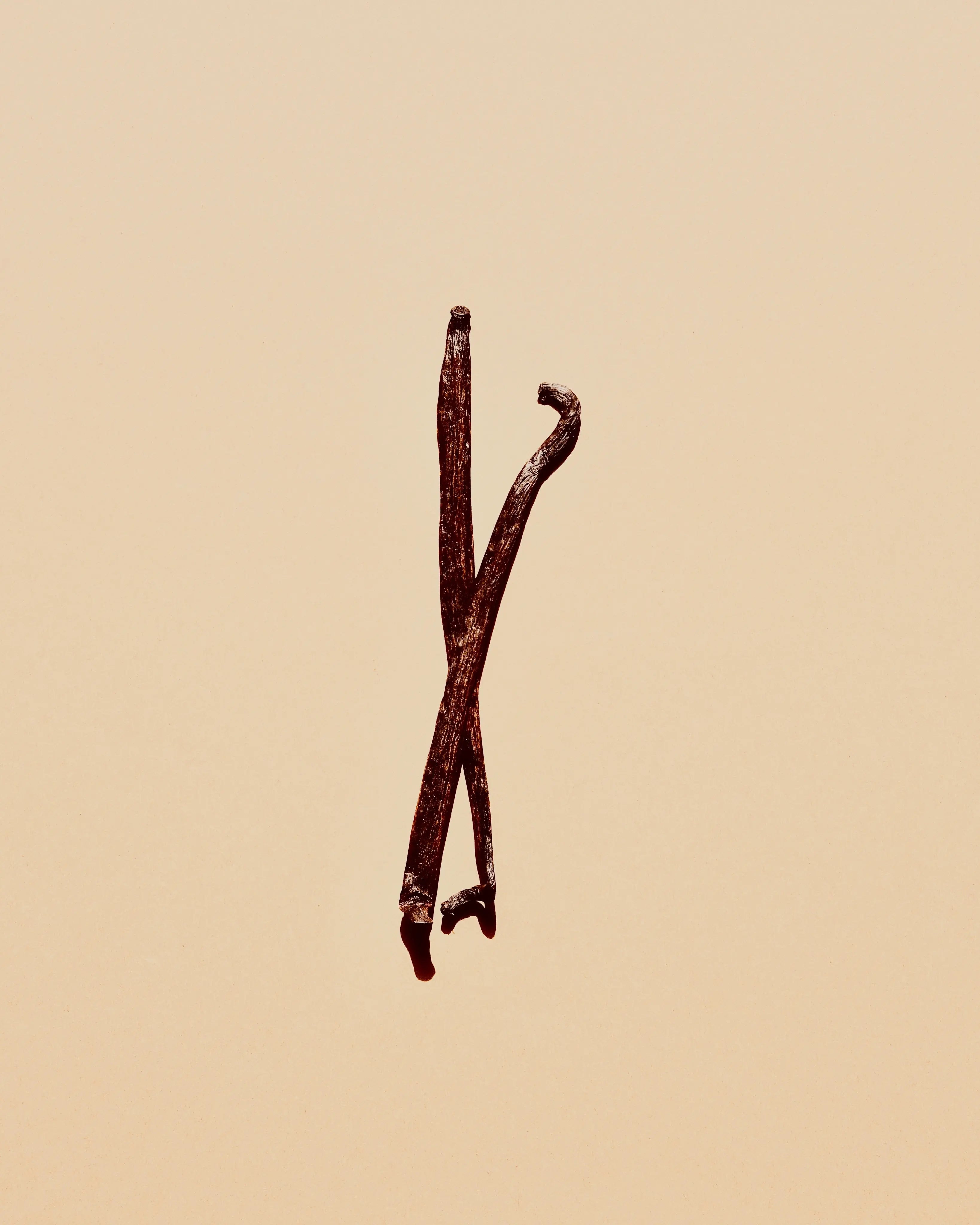 Natural Vanilla Type Flavor Escential Group