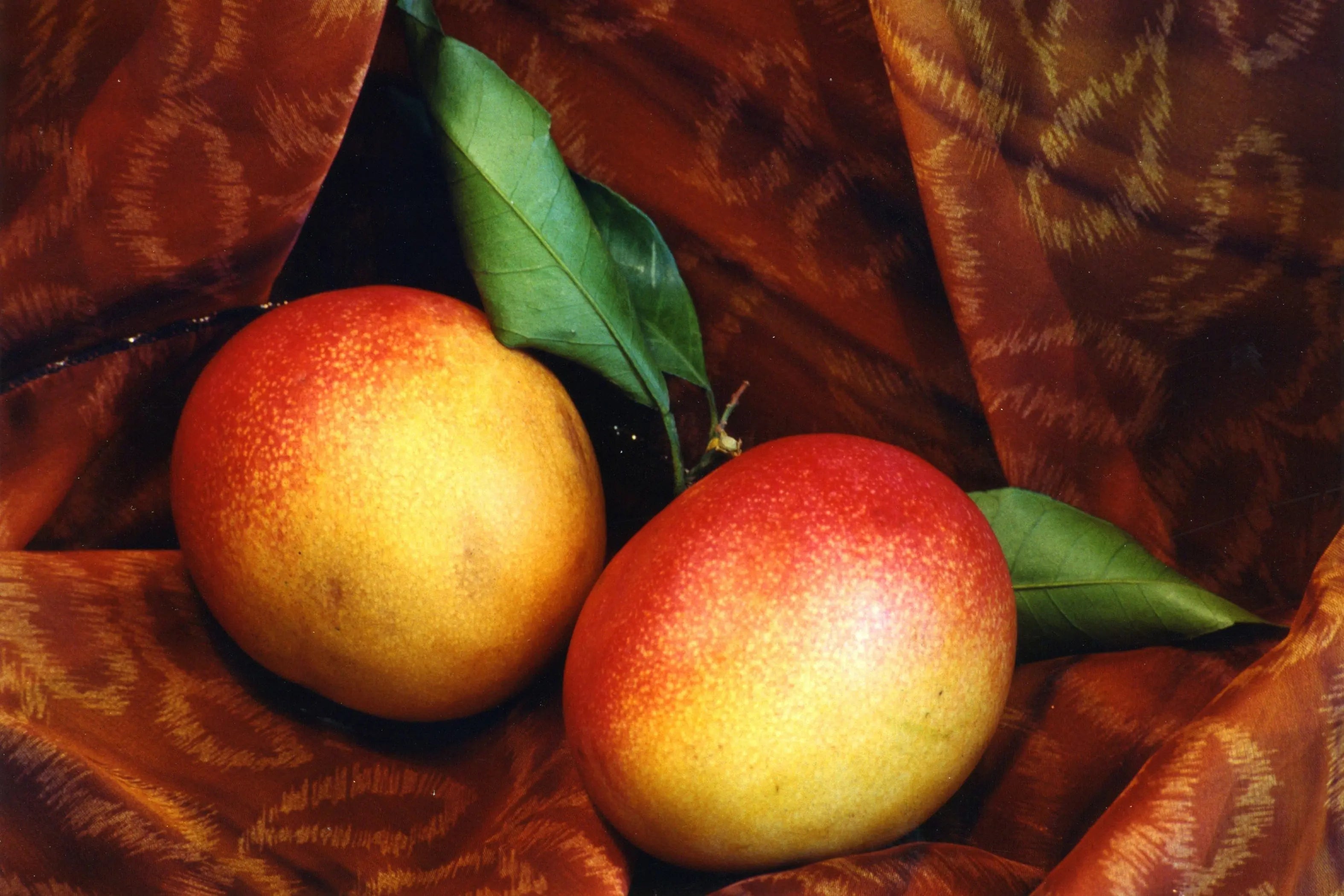 Natural Mango Flavor Escential Group