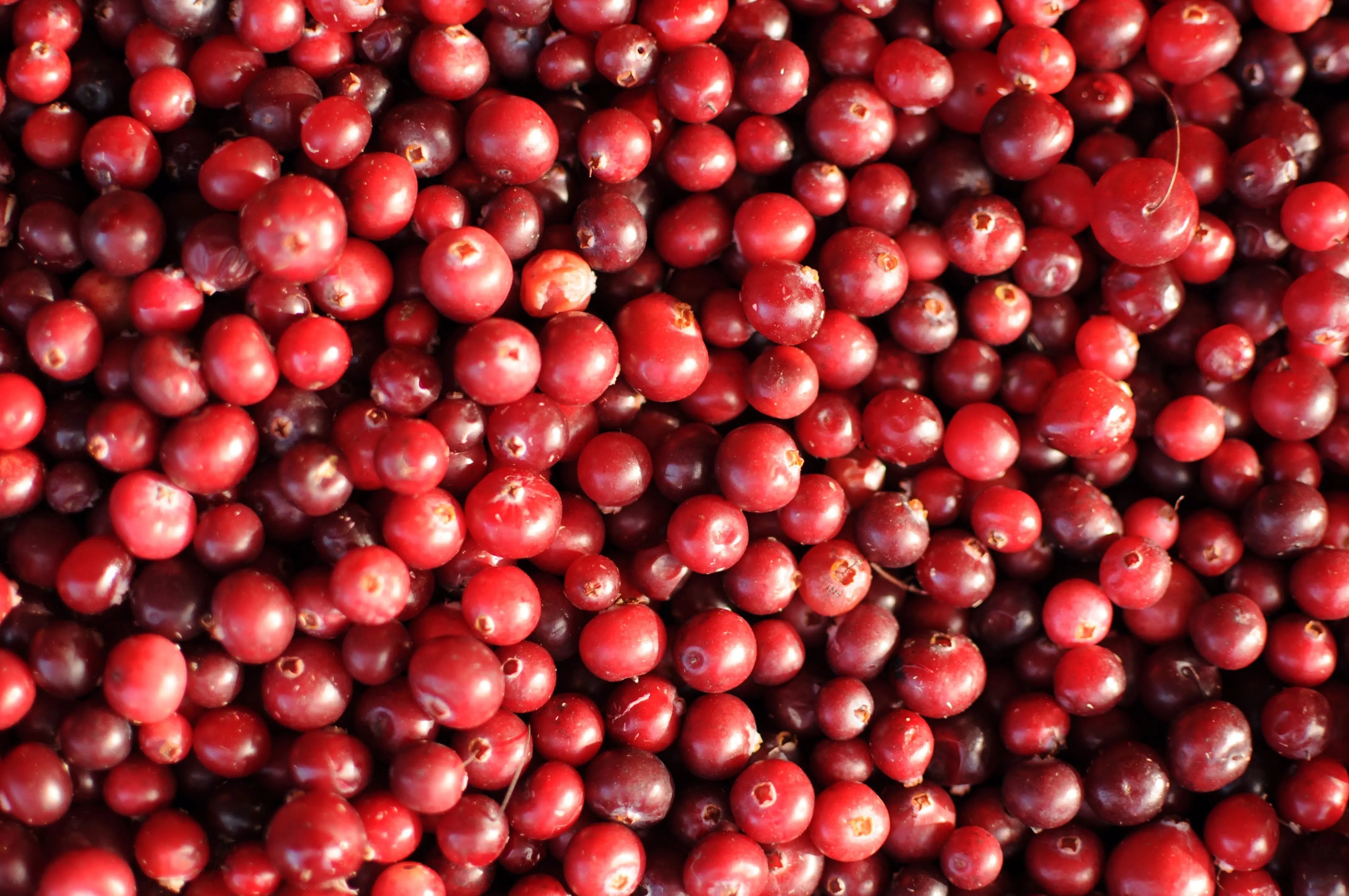Natural Cranberry Flavor Escential Group