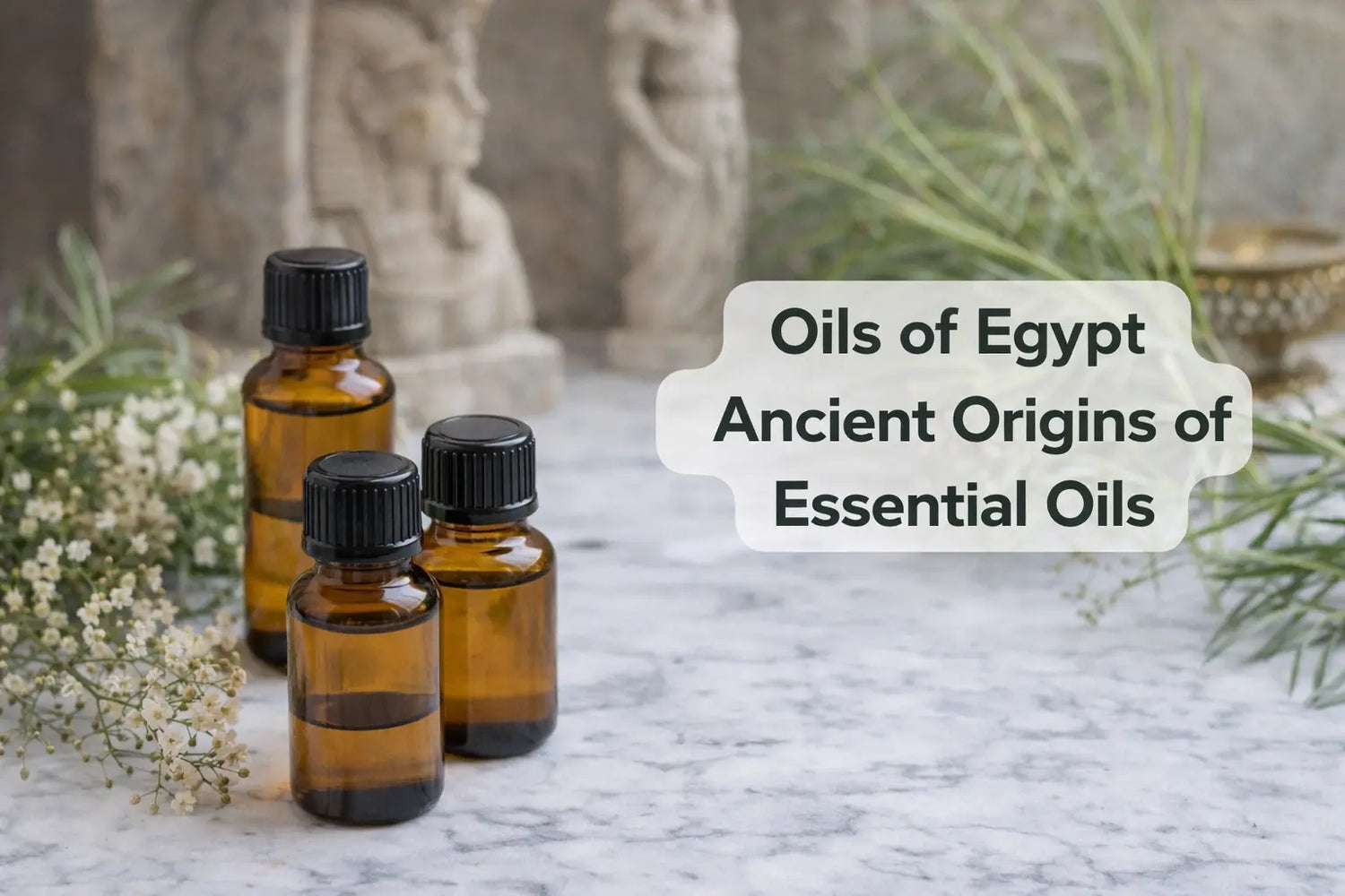 Oils of Egypt Escential Group