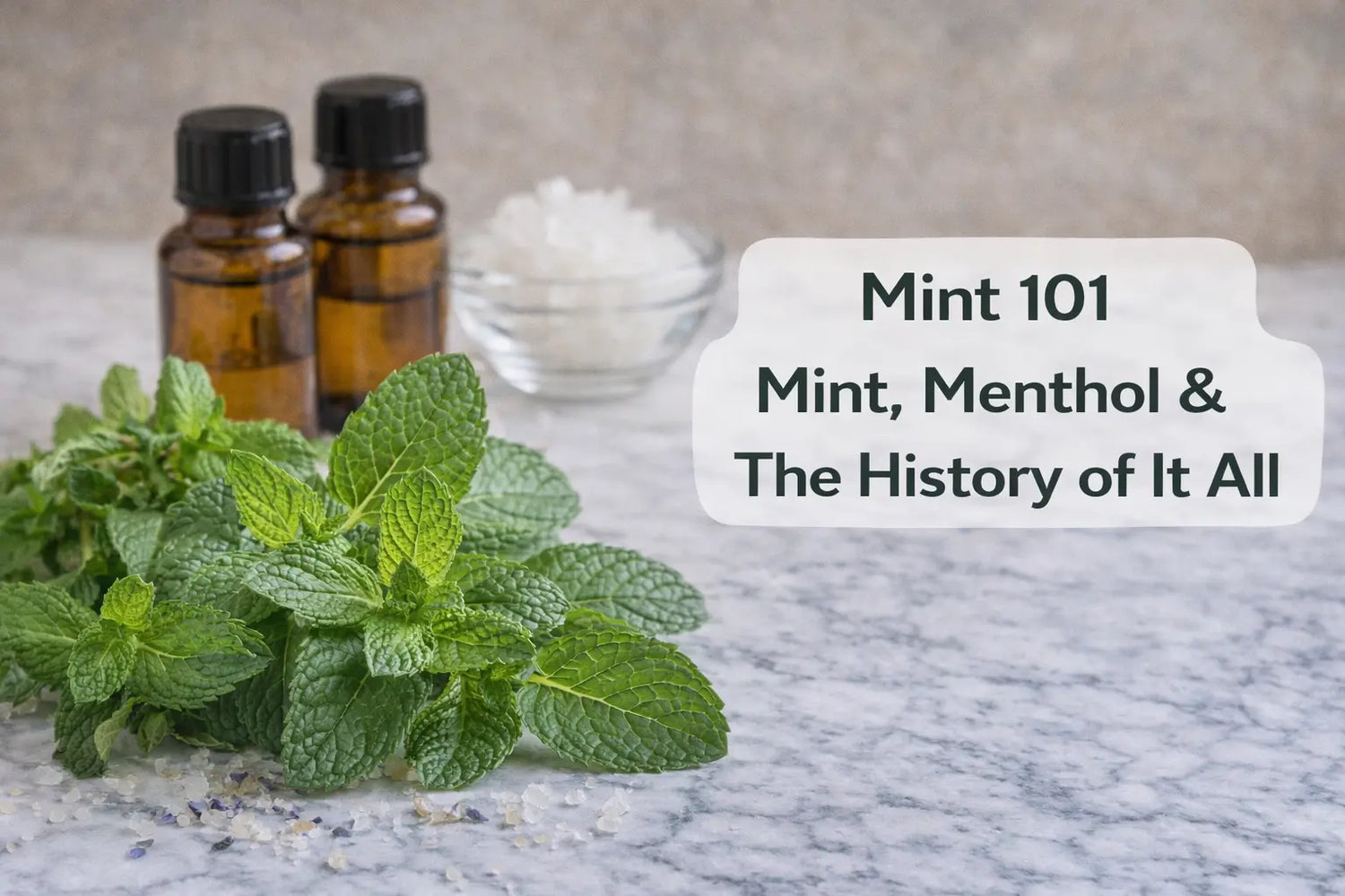 Mint 101: Mint, Menthol, and the History of it all Escential Group