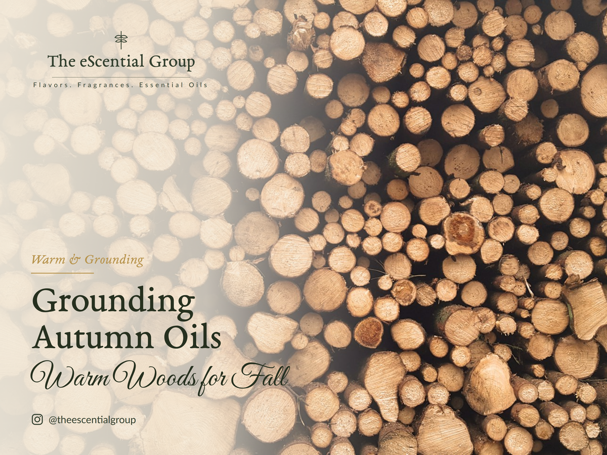 Grounding Autumn Oils: Cedarwood, Sandalwood & Ginger Escential Group