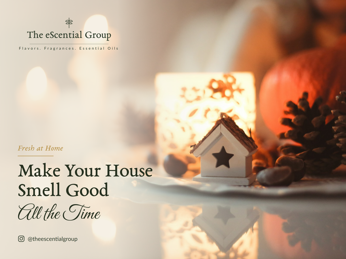 How Do You Make Your House Smell Good All the Time?