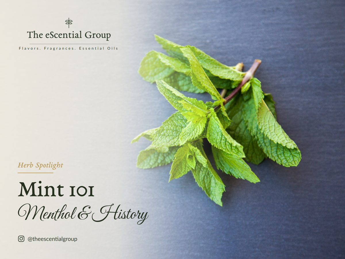 Mint 101: Mint, Menthol, and the History of it all