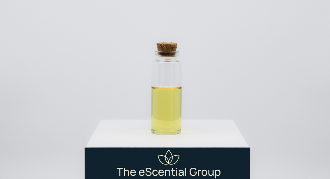 Roasted Coffee &amp; Tobacco Fragrance