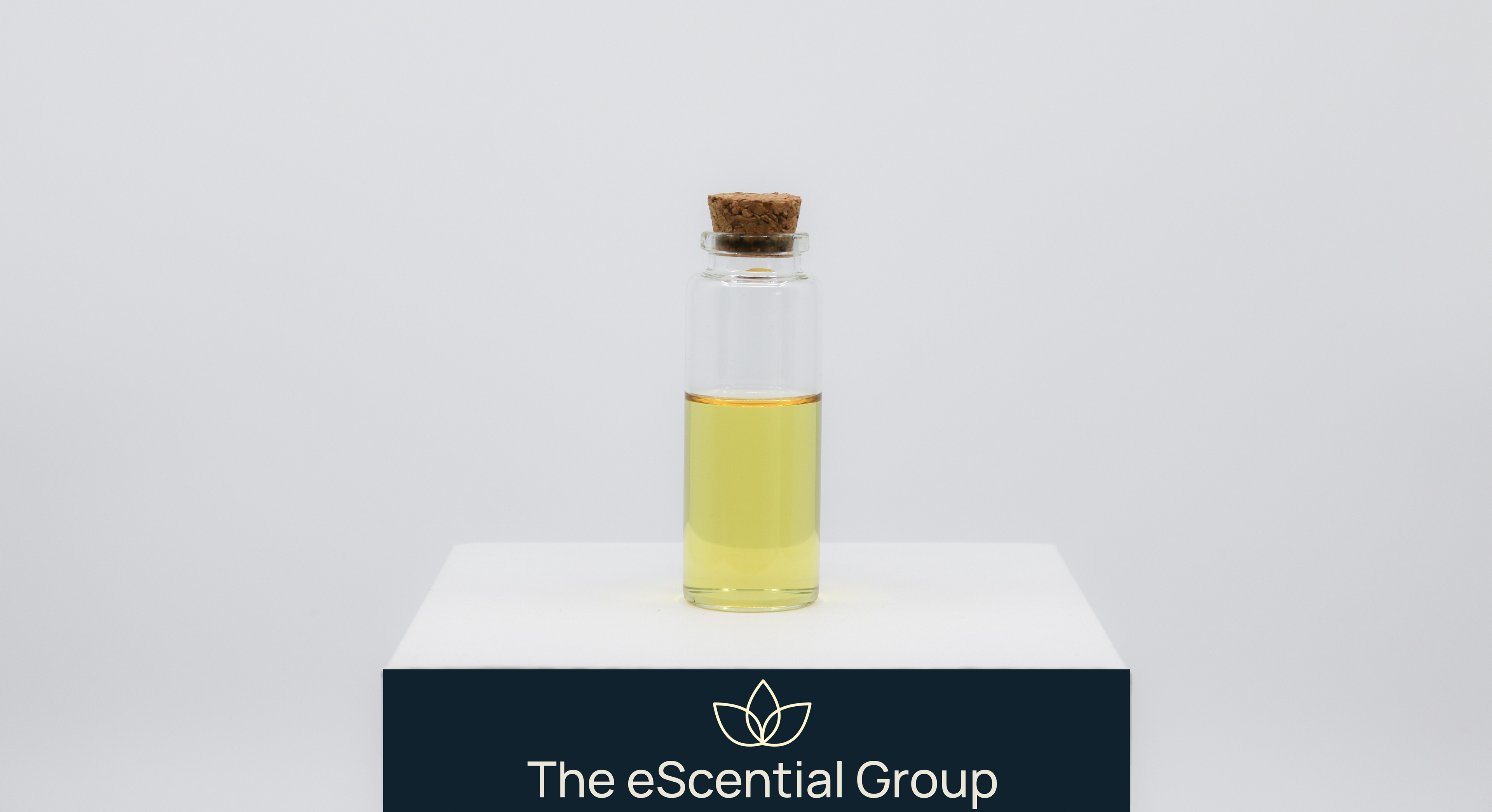 Iced Sugar Cookie Fragrance