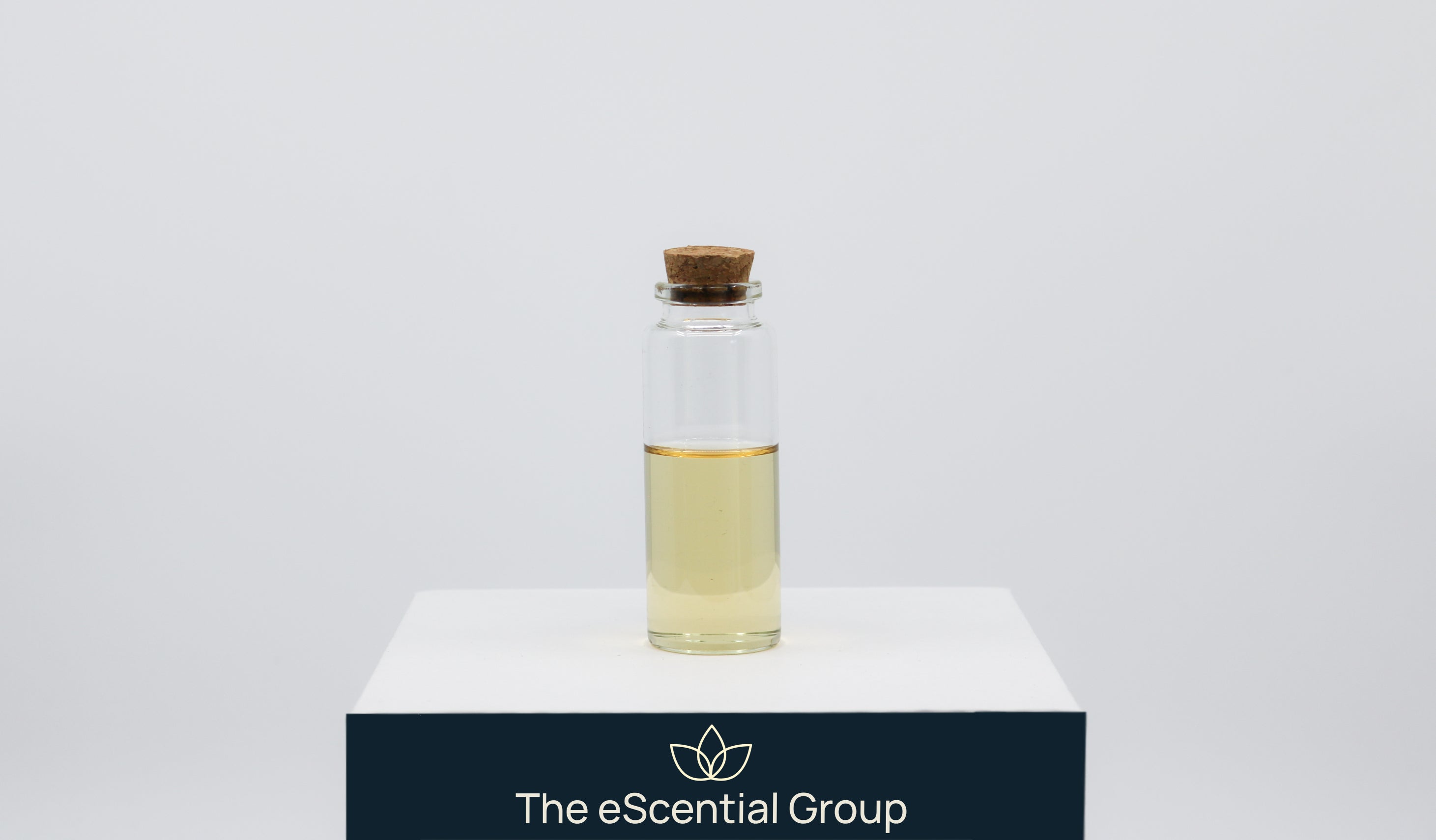 Candied Lemon &amp; Mint Fragrance