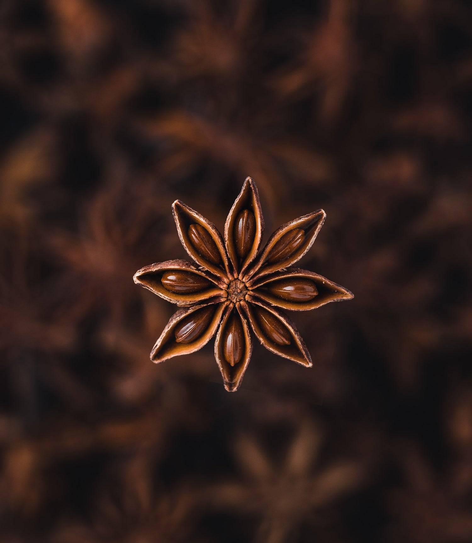 Natural Anise Extract