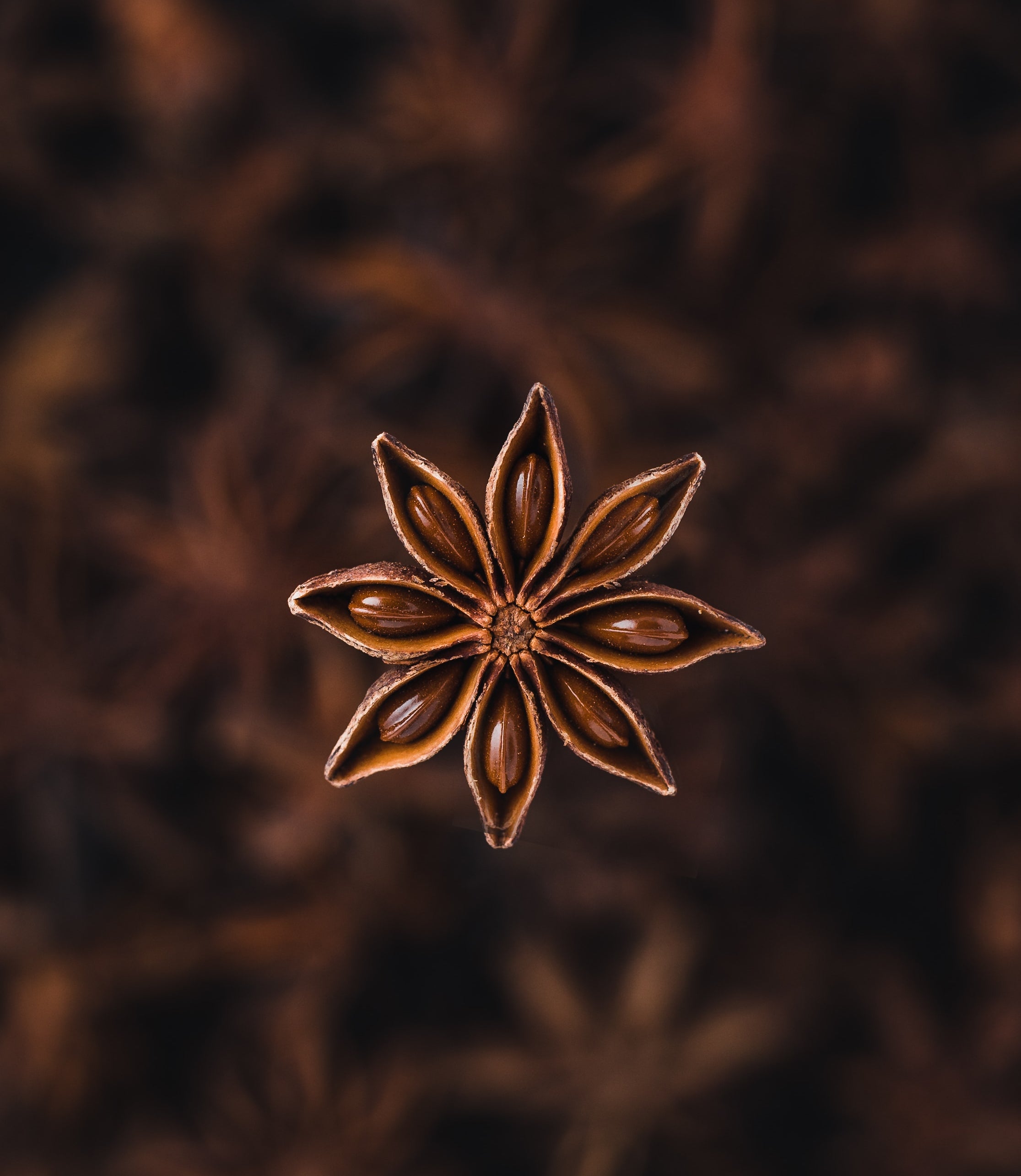 Natural Anise Extract