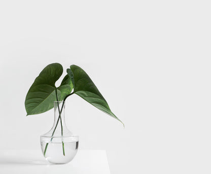 Original Fabulous Fragrance