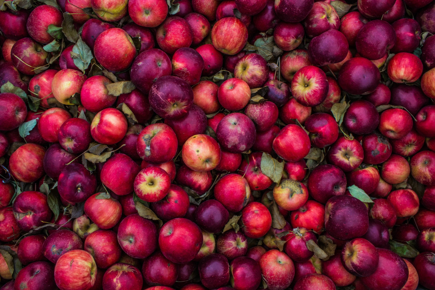 Natural Apple Flavor (Cider Type) Escential Group