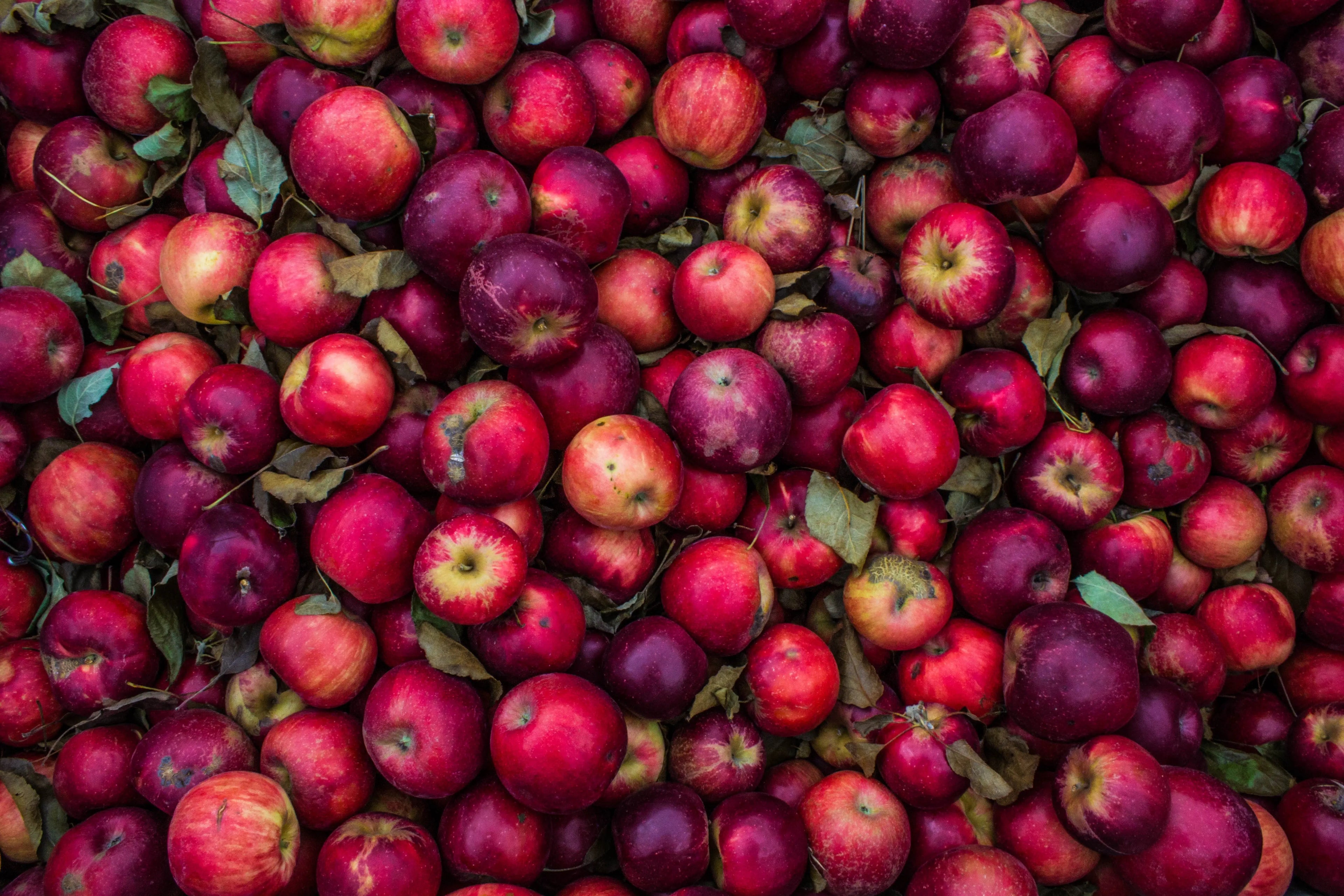 Natural Apple Flavor (Cider Type) Escential Group