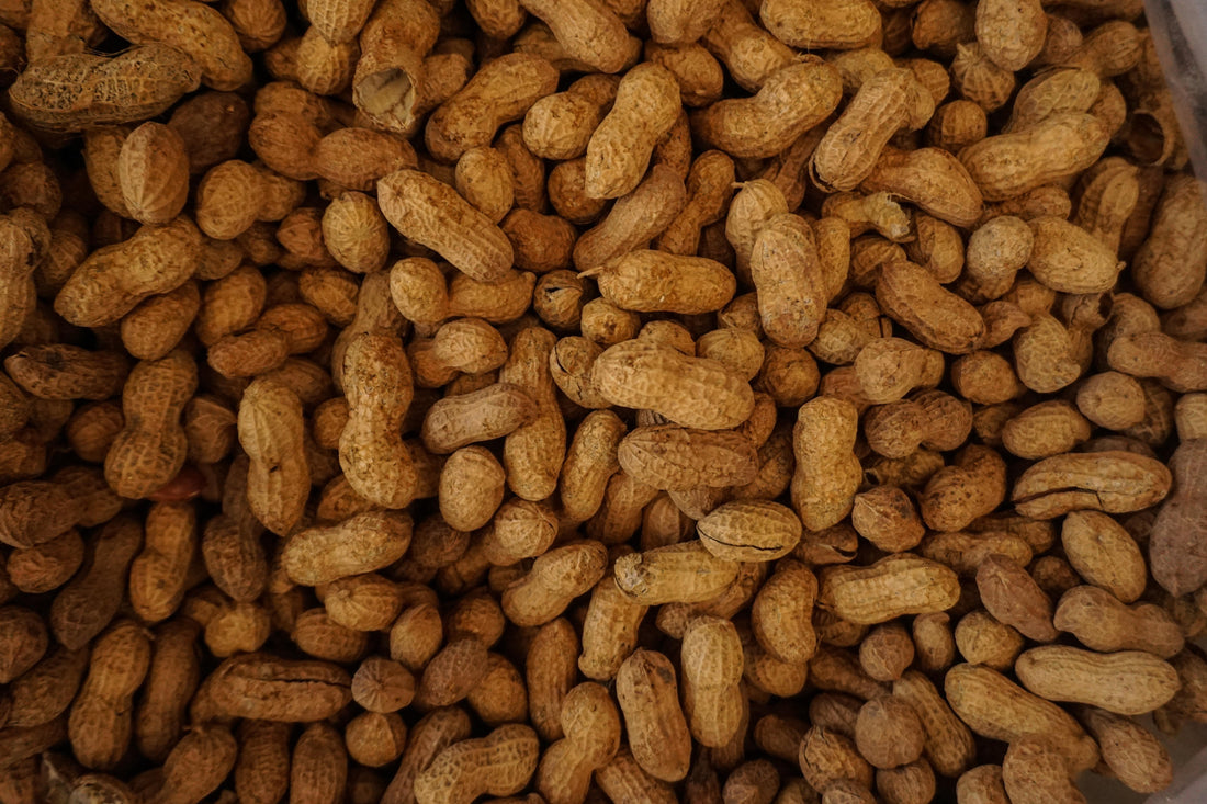 Natural Peanut Type Flavor (Non-Allergen)