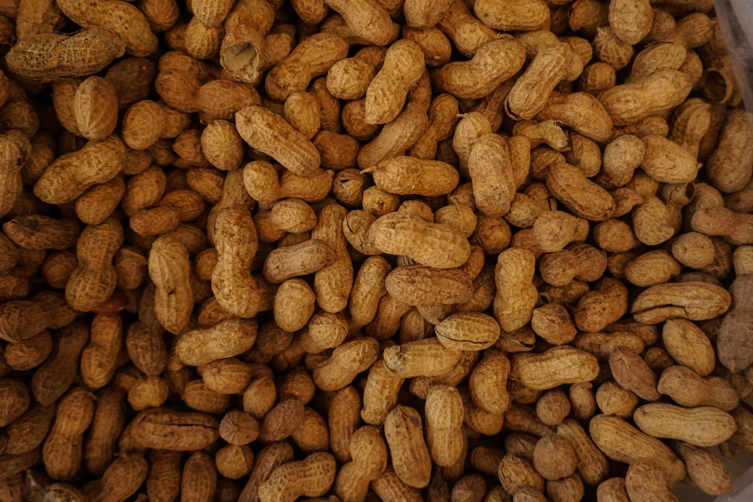 Natural Peanut Type Flavor (Non-Allergen) Escential Group