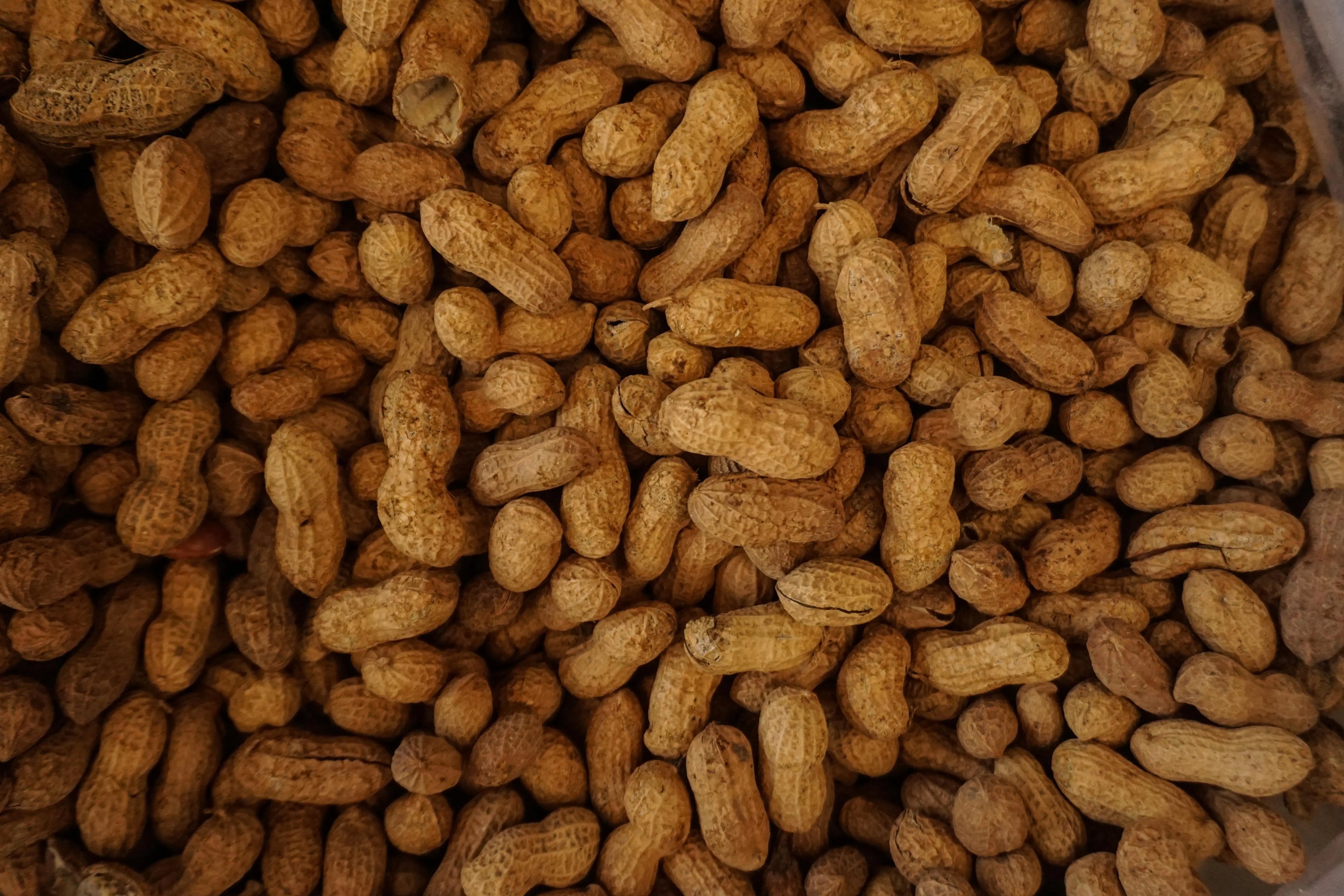 Natural Peanut Type Flavor (Non-Allergen) Escential Group