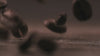 Escential Group - photo 4
