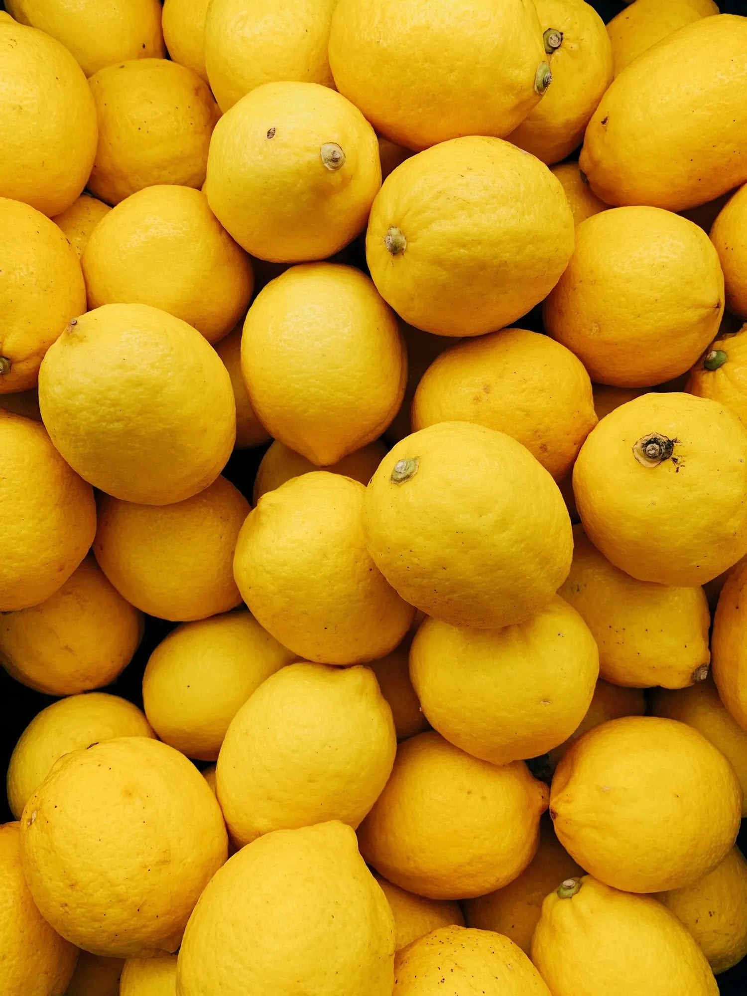 The Citrus Flavor Bundle Fast Bundle
