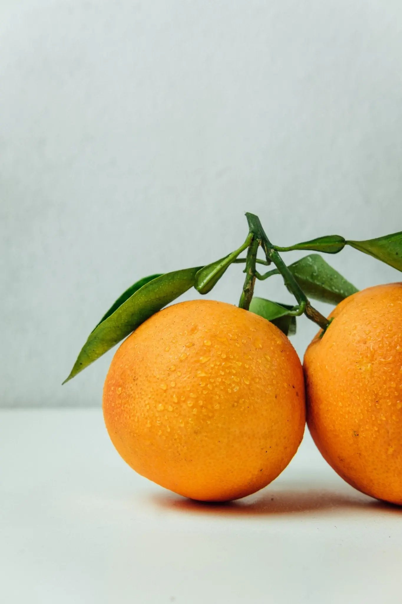 The Citrus Flavor Bundle Fast Bundle
